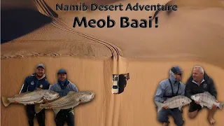 Travelling through the Namib Desert to reach fishing PARADISE! Fishing for Steenbras and Kob! Meob!