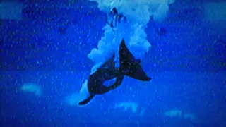 Blackfish Teaser Clip