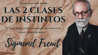 Las 2 classes de instintos / Sigmund Freud / Teorias Psicoanalíticas