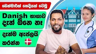 Nursing Registration of Denmark | Nursing 2023 Process | Europe Visa | No IELTS or Danish | SL TO UK