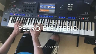 She (Elvis Costello - Notting Hill) cover played live by Pedro Eleuterio with Yamaha Genos Keyboard