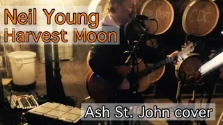 Neil Young - Harvest Moon (Ash St. John live looping cover w/ violin)