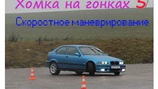 Хомка на гонках: Скоростное маневрирование