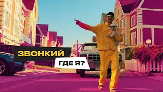 Звонкий — Где я? (Official Vizualizer)