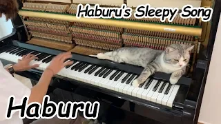 Haburu’s Sleepy Song - Best Timeless Love Song 2019 | Don't Miss