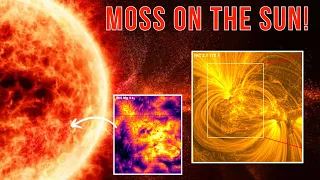 Moss on the Sun? Discover the Unexpected Phenomenon That's Not What You'd Imagine!