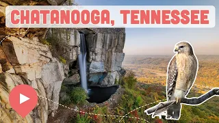 Best Things to Do in Chattanooga, TN