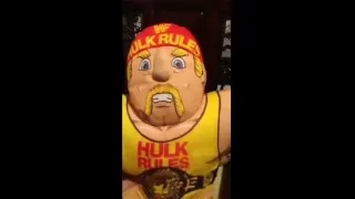 Hulk Hogan's Exercise Workout Video