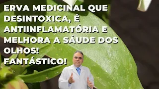 Erva que desintoxica, é antiinflamatória e melhora a saúde dos olhos! Quer mais? | Dr. Marco Menelau