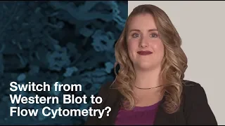 4 situations where Flow Cytometry can help | CST Tech Tips