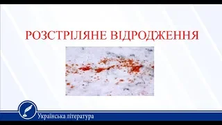 Розстріляне відродження. Українська література 11 клас