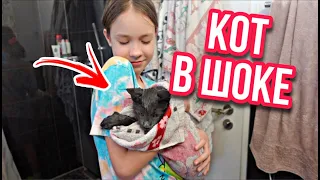 VLOG / 😅ПЕРВЫЙ РАЗ КУПАЕМ КОТА 😬ЭТО ПРОВАЛ / 04.01.22