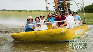 Airboat Rides, Alligators, and Shows at the Everglades Alligator Farm