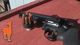 First Look - Taurus Model 66 .357 Magnum Revolver on the Range! | The Social Regressive