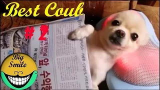 Best Coub #2 | Лучшее видео COUB Сентябрь