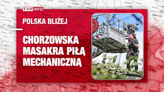 Chorzowska masakra piłą mechaniczną. Deweloper wyciął ponad 1200 drzew | POLSKA BLIŻEJ