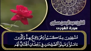 سورة الشورى للقارئ | عبدالرحمن مساوى | رمضان 1445