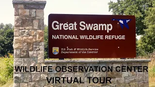 Tour of the Wildlife Observation Center at the Great Swamp