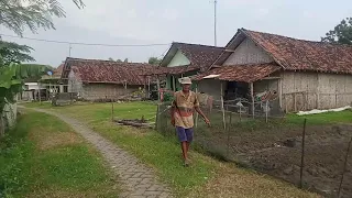 Ingin kaya!! jangan datang ke Kampung ini || Pesugihan "LEMAH MINGER"