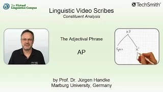 SYN_210 - Linguistic Video Scribes - Constituent Analysis: The AP