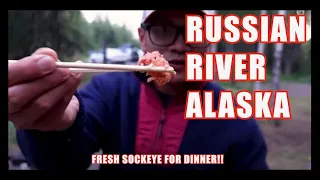 Russian River Salmon | Catch and Cook [Close Bear Encounter]