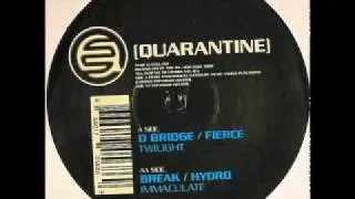 D-Bridge & Fierce - Twilight