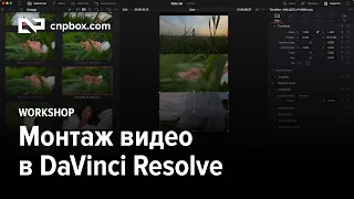 Монтаж - Видео с моделью на iPhone 13 Pro Max (Часть 2)