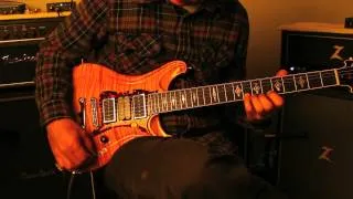 Scott Walker Guitars - On Board Effects Loop Blend Knob