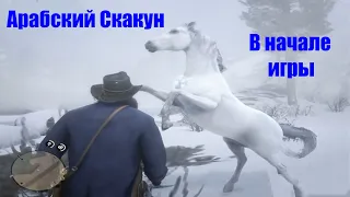 Red Dead Redemption 2 - Арабский Скакун (в начале игры)