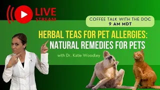 Herbal Teas for Pet Allergies: Natural Remedies for Your Furry Friends
