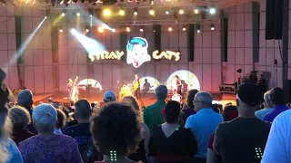 Stray Cats are back! We are going to rock this Town!