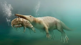 Пути эволюции — Сухопутные киты (Документальные фильмы, передачи HD)