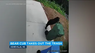 Bear caught on security camera rolling around trash bin