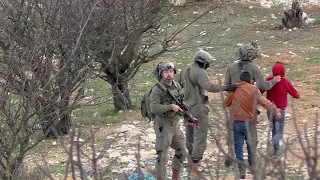 Occupation routine: Soldiers violently arrest two Palestinian boys, 12 and 14