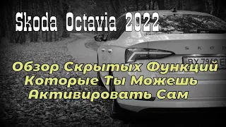 Skoda: Скрытые Функции Почти Бесплатно 😉 (2022)