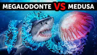 40+ Fatti su Alcune Creature Marine più Spaventose del Megalodonte
