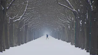 Самая красивая мелодия на свете! Послушайте эту музыку и вам станет легче! Красивая Мелодия До Слез