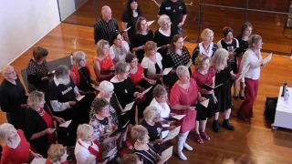 California Dreamin - Dunedin Rock Choir