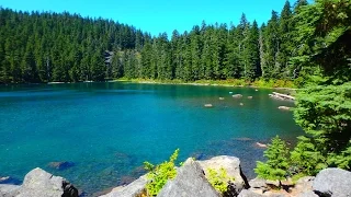 Pristine Buck Lake Swimming and Hiking - Mt. Hood National Forest