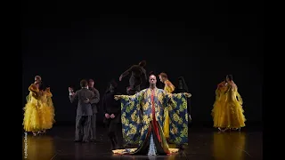 Le Ballet royal de la Nuit, opéra-ballet