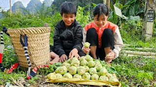 A homeless boy and a poor girl harvest kohlrabi to sell at the market to save money to buy things