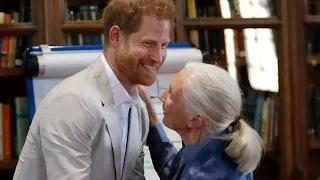 Prince Harry's Heartwarming Moment With Dr. Jane Goodall Is the Best Thing You'll See All Day!