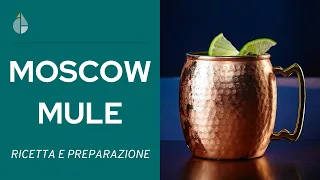 Moscow Mule: vodka, lime, ginger beer e cetriolo (?) |  Cocktail Engineering