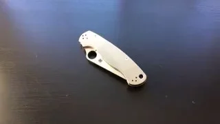 Spyderco Paramilitary 2 with Titanium scales by Flytanium.