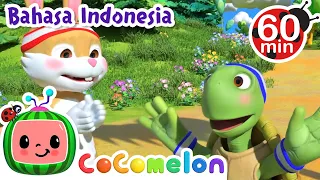 Kura-kura dan Kelinci | CoComelon Bahasa Indonesia - Lagu Anak Anak