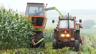 Dronningborg D5500 Self-Propelled Forage Harvester in the field chopping corn | Maize Silage 2022