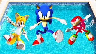 GTA 5 Sonic, Tails & Knuckles Jumping Into Pool (Euphoria Physics/Ragdolls)