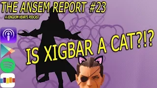 Is Xigbar A Chirithy?!? | The Ansem Report #23