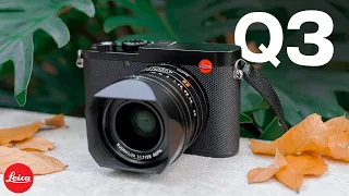 Leica Q3 – 1 Month Later: Why This Camera is Sold Out Everywhere!