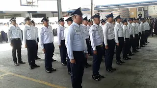 sosia drill crame(2)